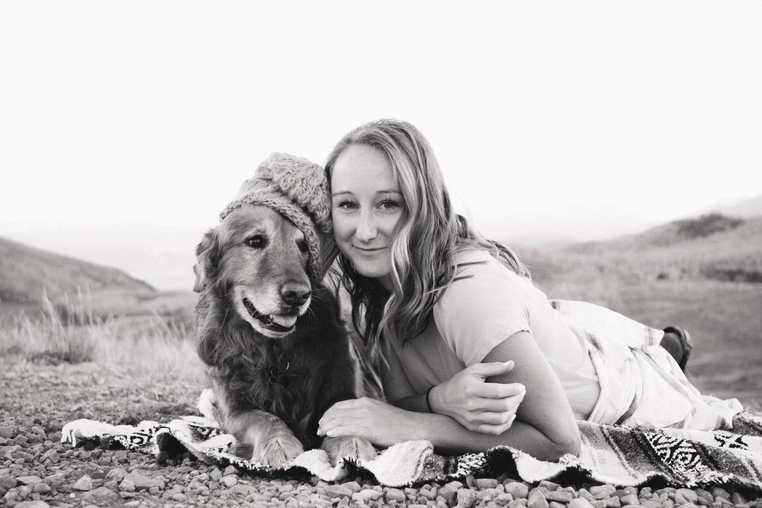 A Comprehensive Guide to Pet Cremation Services in Queensland