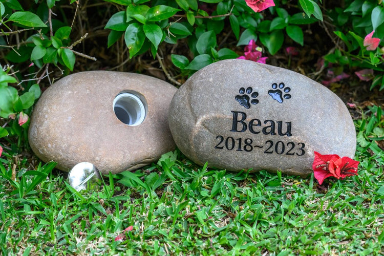 Paw Prints are on my Heart