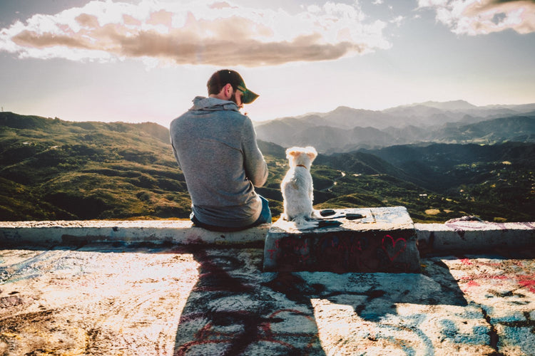 Pet Memorial Products