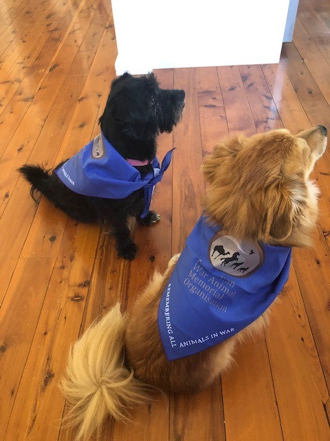 The Purple Poppies Charity - Supporting the Australian War Animal Memorial Organisation
