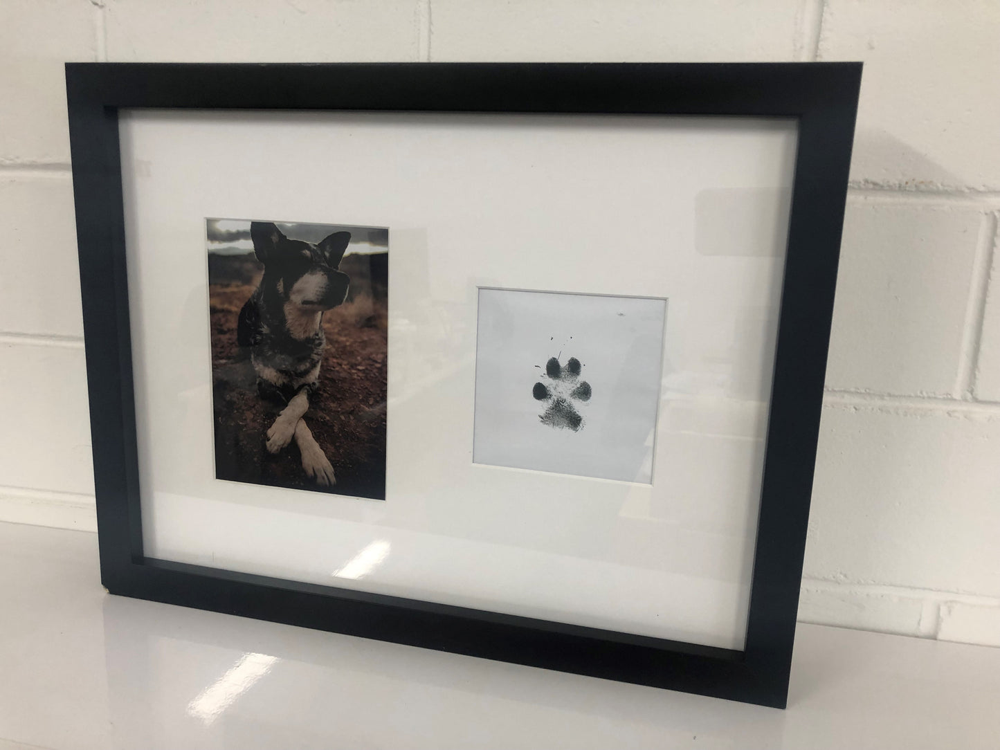 Pet Safe Paw Print Impression Kit for Dog or Cat