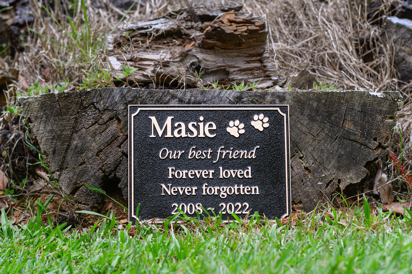 Bronze Pet Memorial Plaque - 30 x 15cm