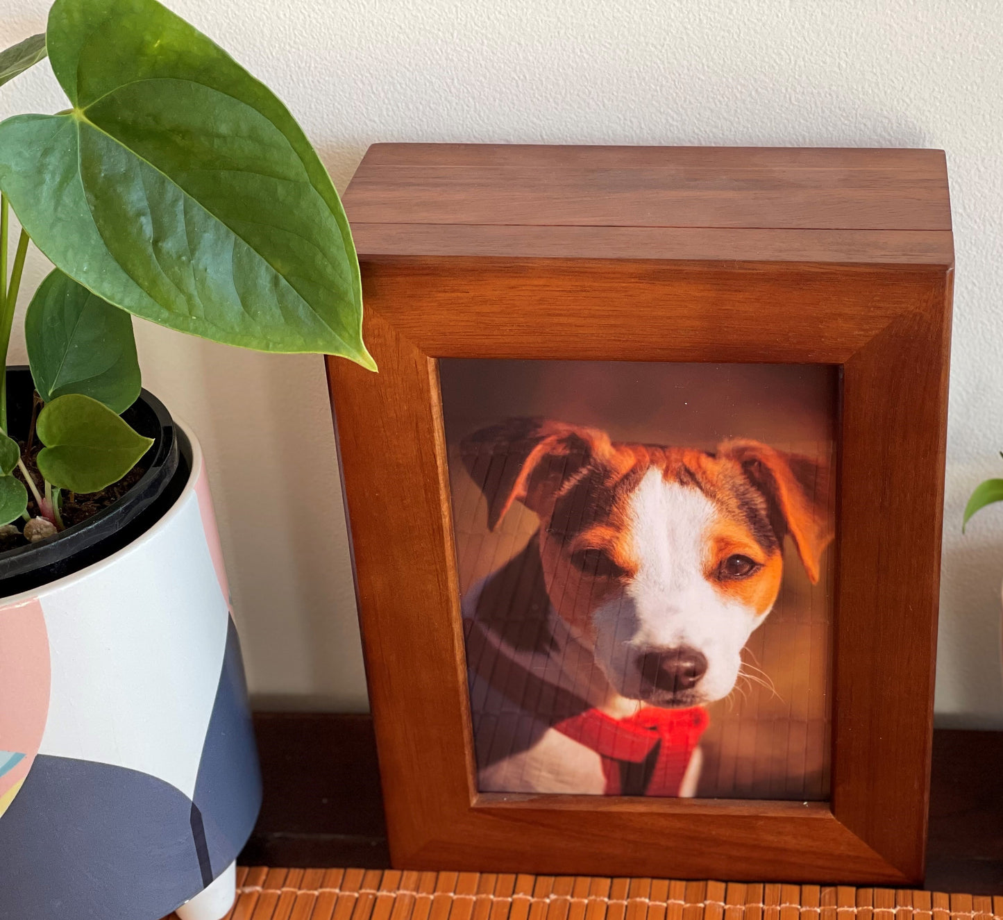 Timber Pet Urn Photo Box
