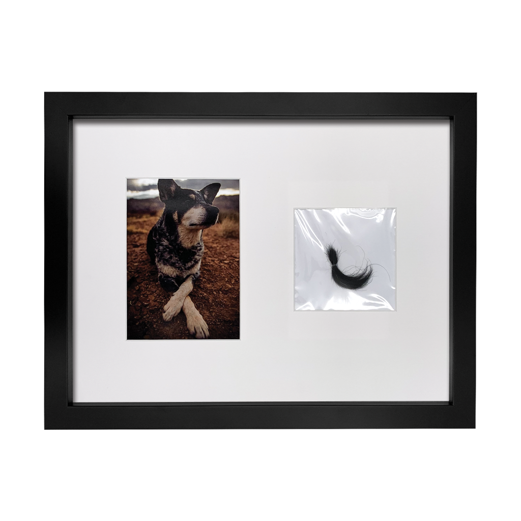 Lasting Impression Memorial Frame with Ashes or Paw Prints