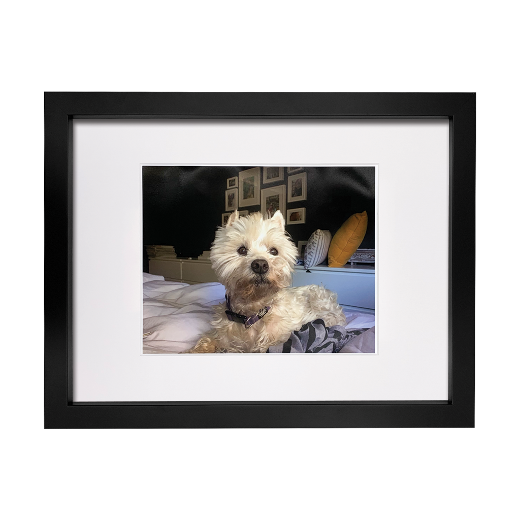 Lasting Impression Memorial Frame with Ashes or Paw Prints