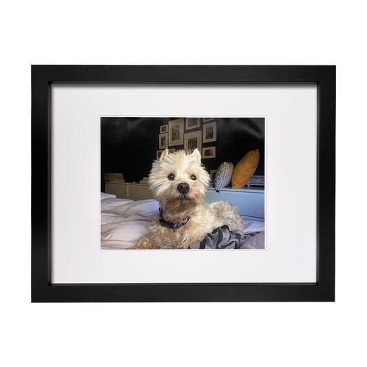Lasting Impression Memorial Frame with Ashes or Paw Prints