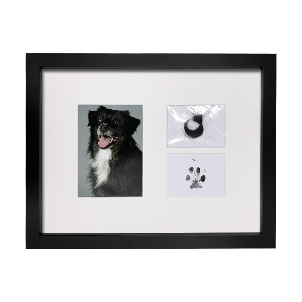 Lasting Impression Memorial Frame with Ashes or Paw Prints