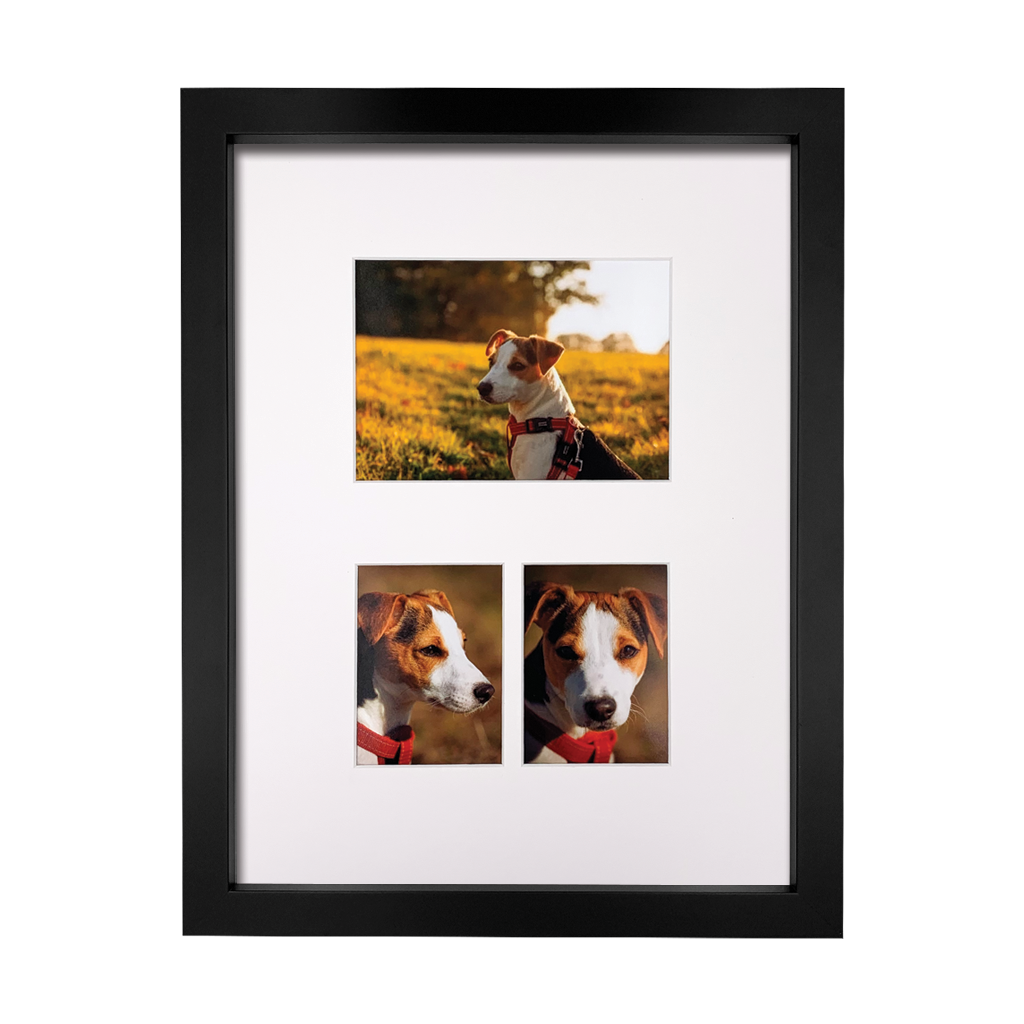 Lasting Impression Memorial Frame with Ashes or Paw Prints