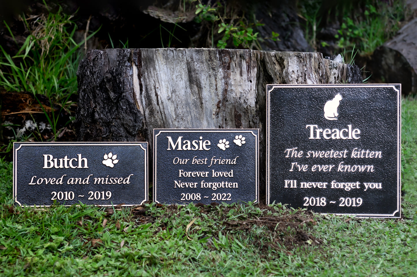 Bronze Pet Memorial Plaque - 30 x 15cm