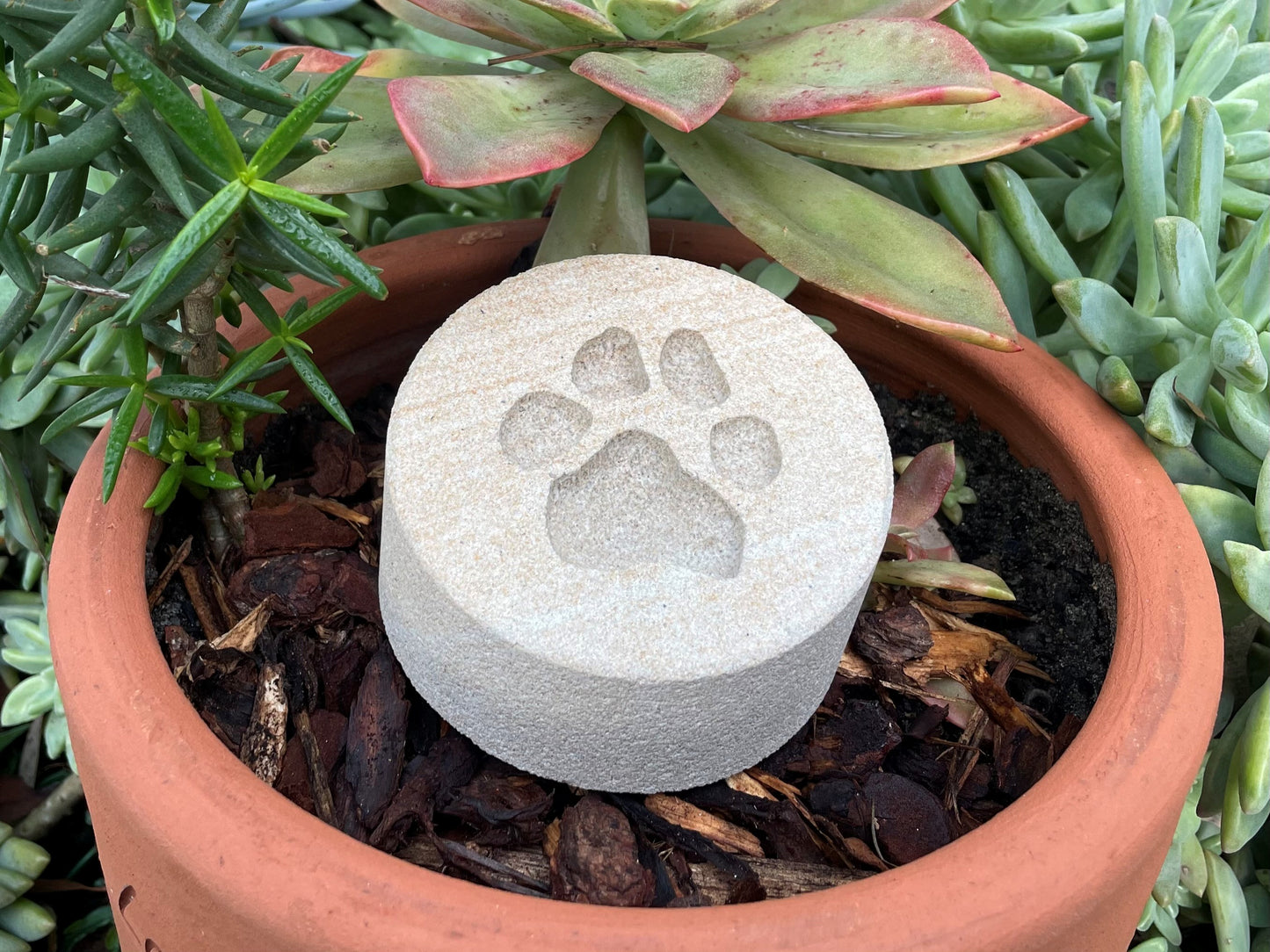 Personalised Paw Prints In Stone