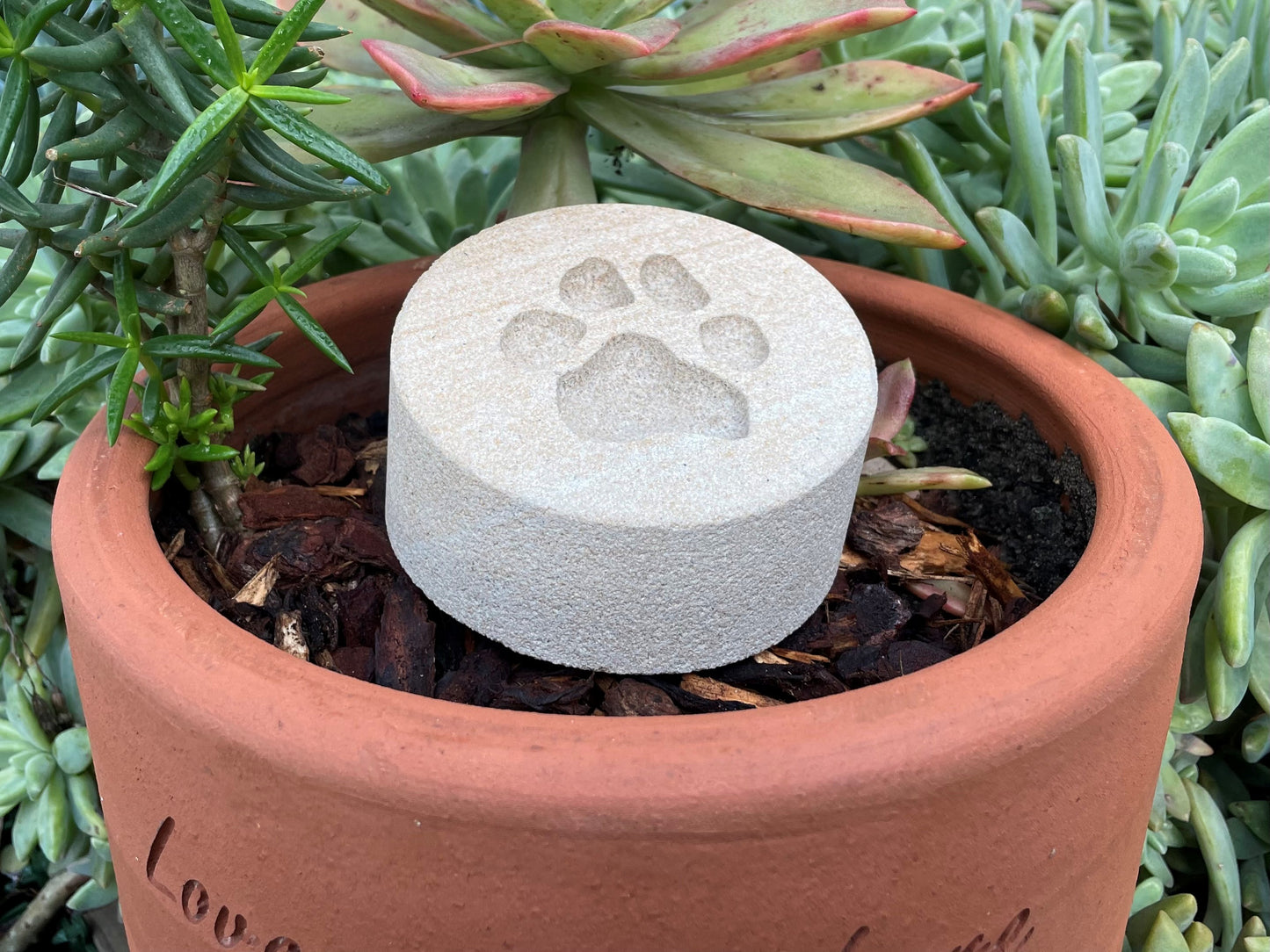 Personalised Paw Prints In Stone