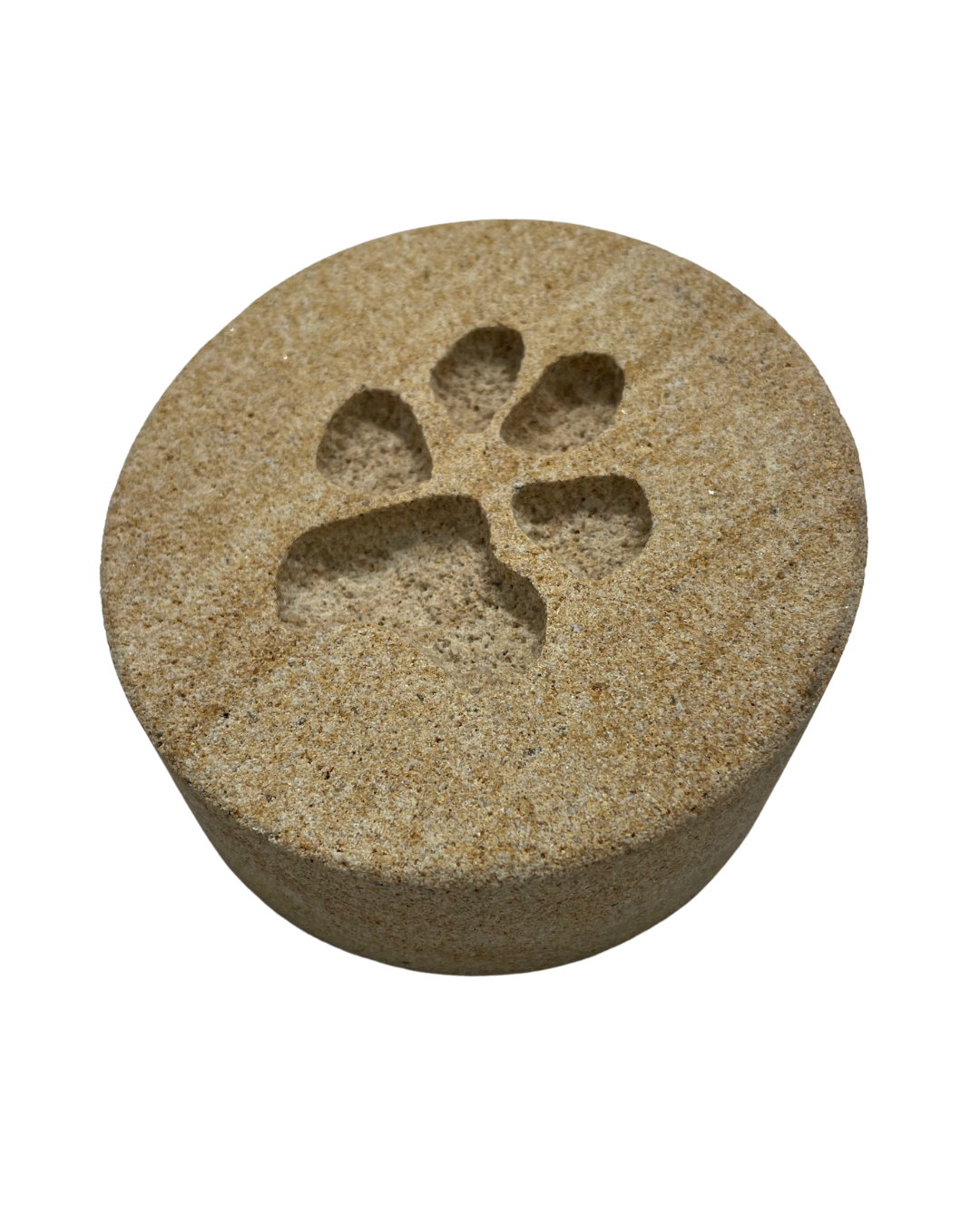 Personalised Paw Prints In Stone