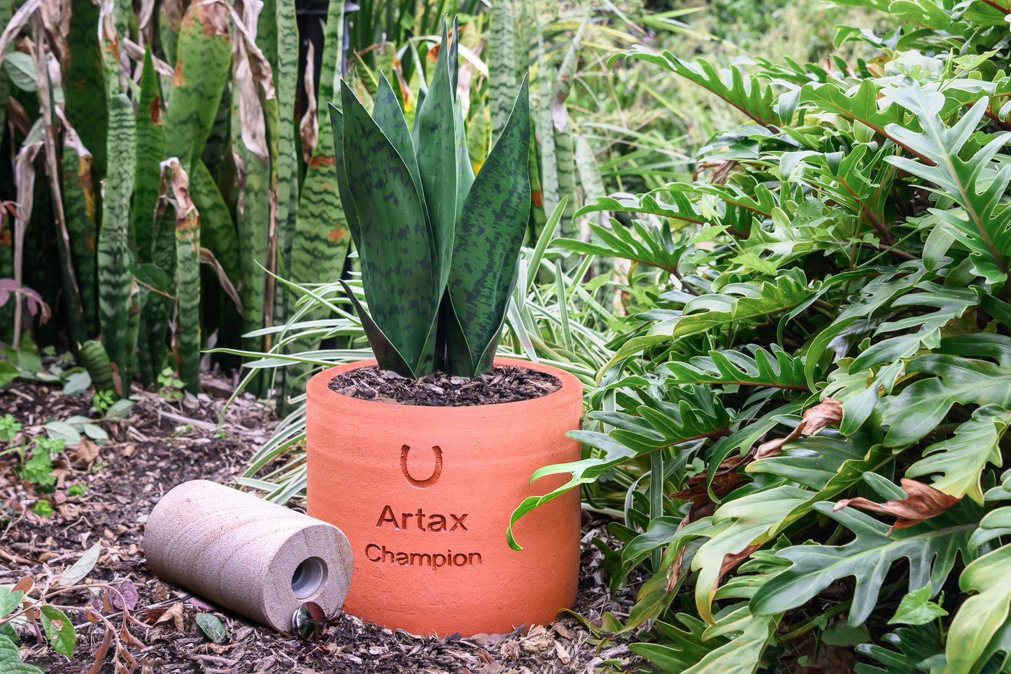 Plant Pot Living Memorial - Round