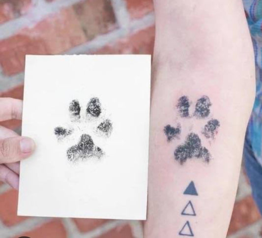 Pet Safe Paw Print Impression Kit for Dog or Cat