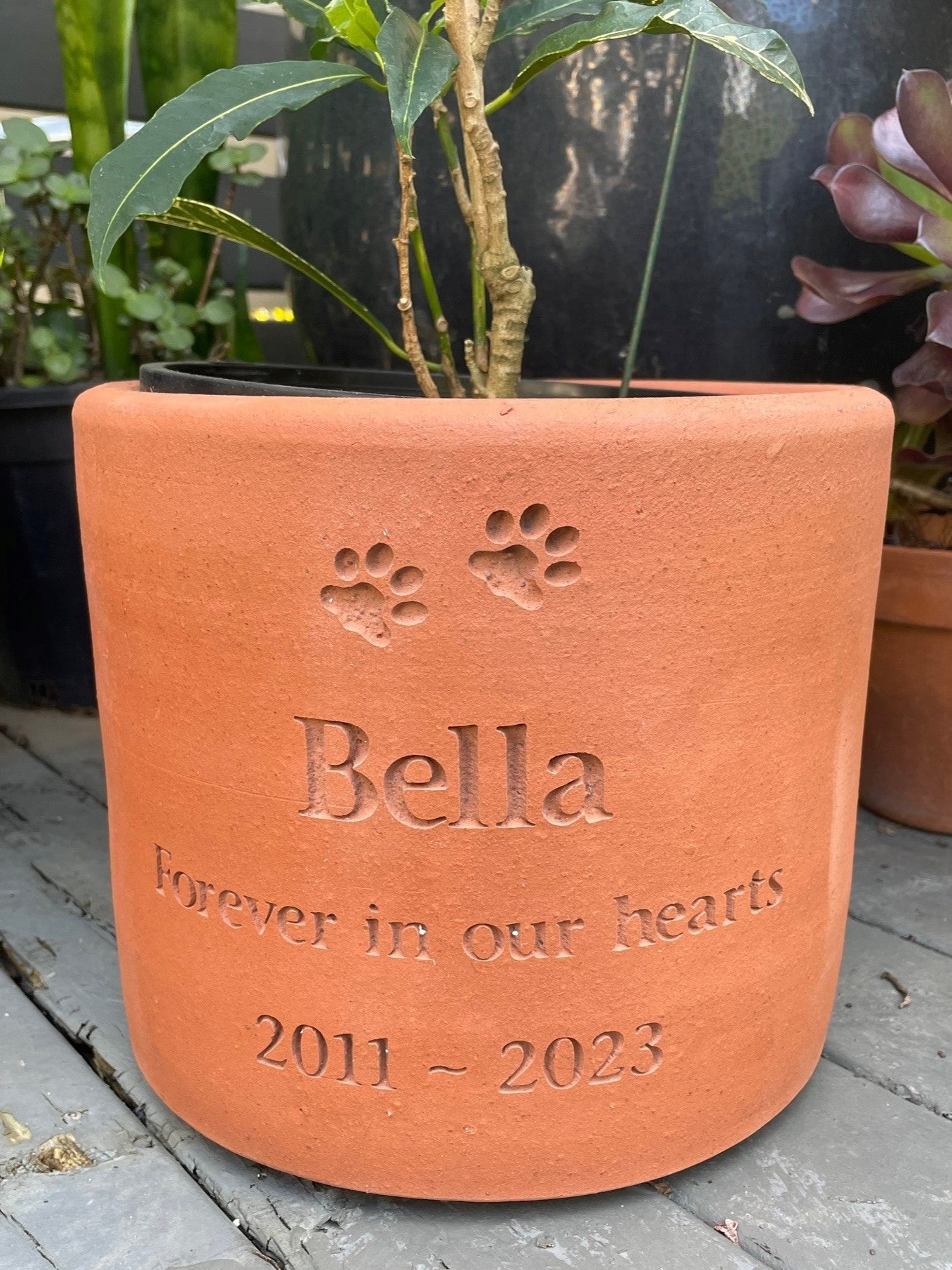 Plant Pot Living Memorial - Round