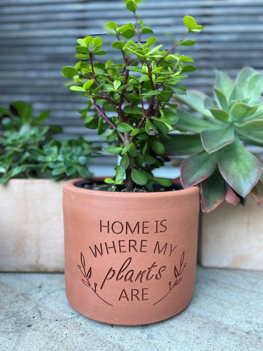 Personalised Plant Pot Living Memorial - Round