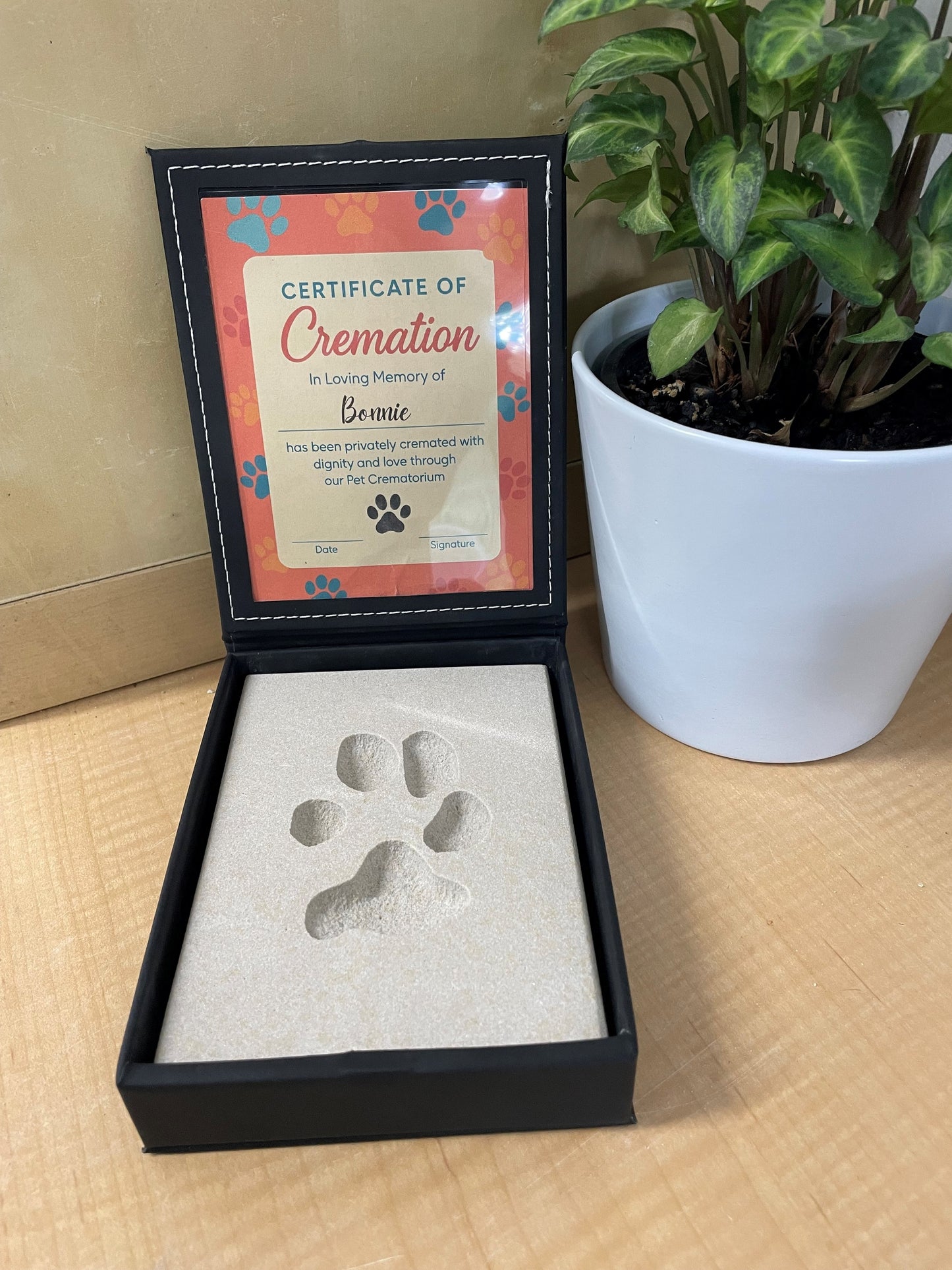 Personalised Paw Prints In Stone