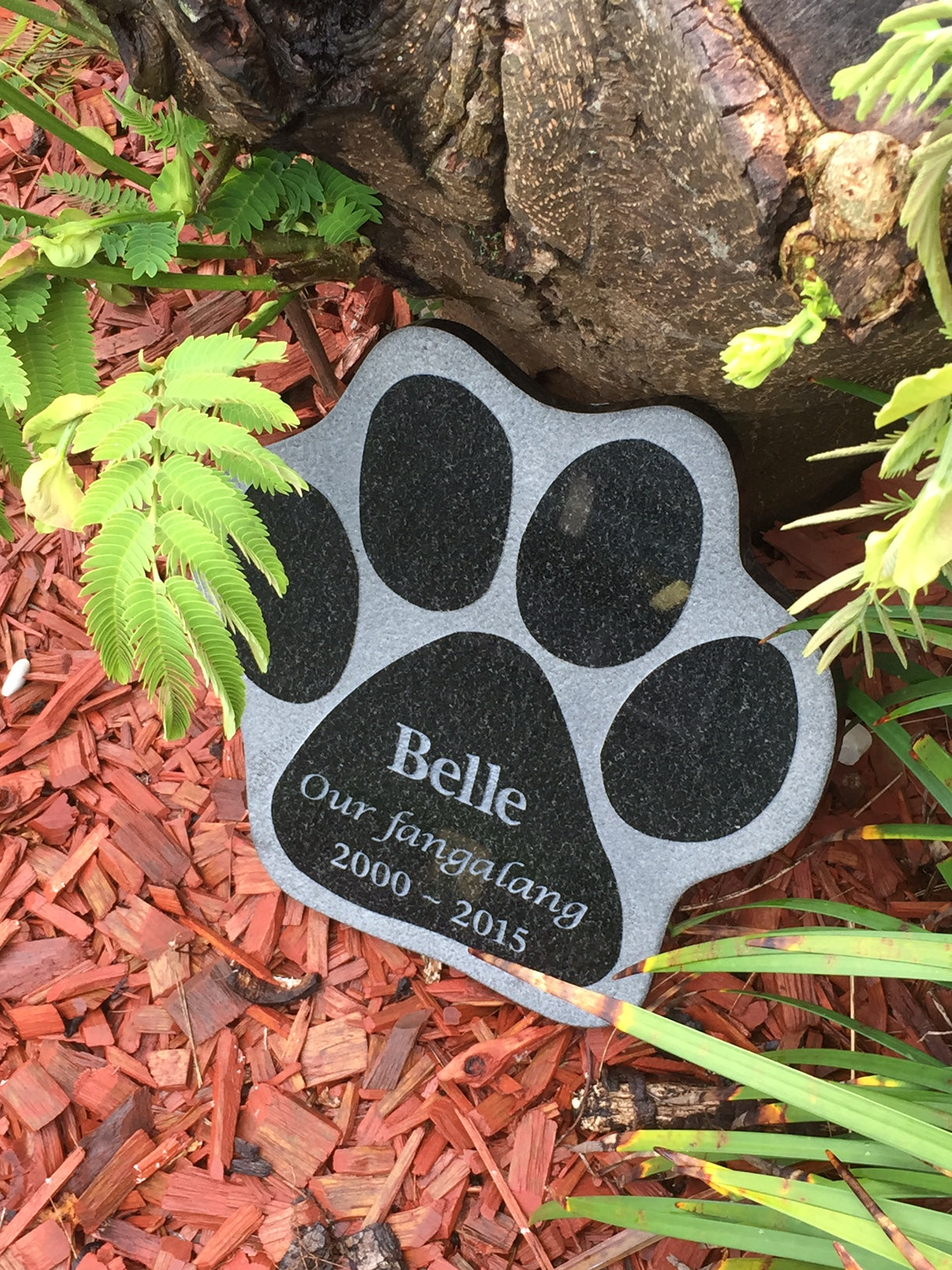 Granite Pet Memorial Plaque - Paw Shape