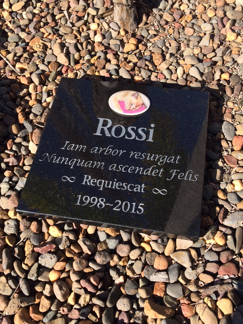 Personalised Granite Pet Memorial Plaque - Large