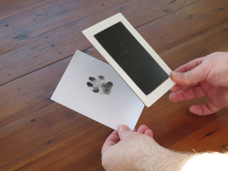 Lasting Impression Memorial Frame with Ashes or Paw Prints
