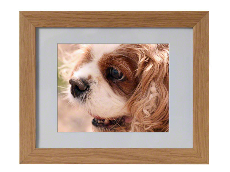 Tribute Oak Photo Frame Urn with Discreet Ashes Compartment