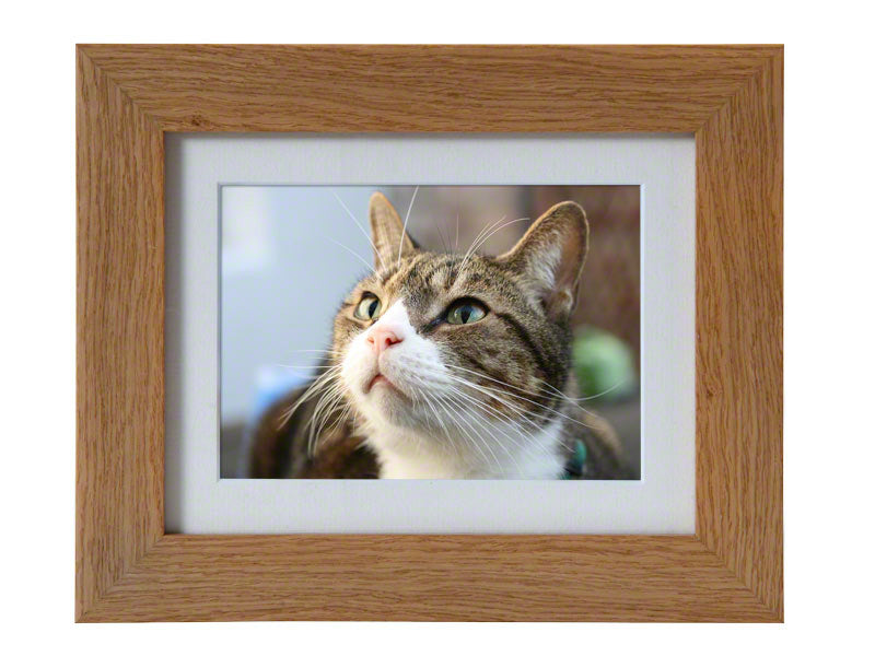Tribute Oak Photo Frame Urn with Discreet Ashes Compartment