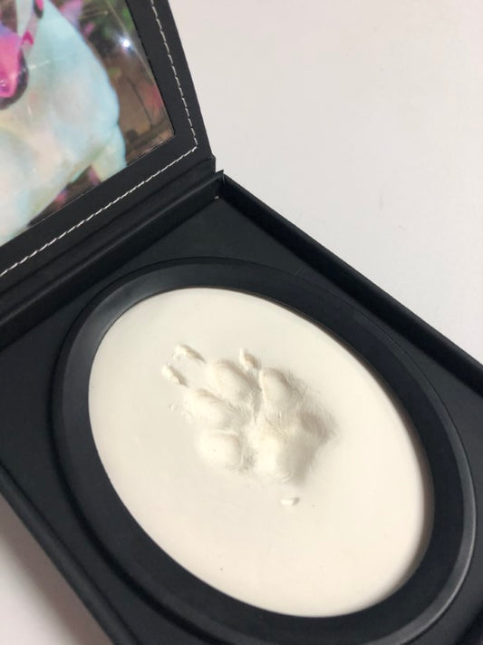 A display case with a photo of a dog and a paw print impression in clay