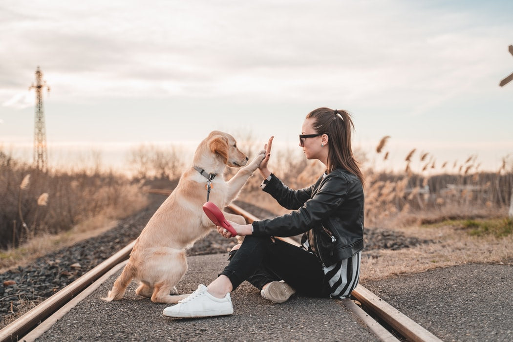 Memorials for Pets