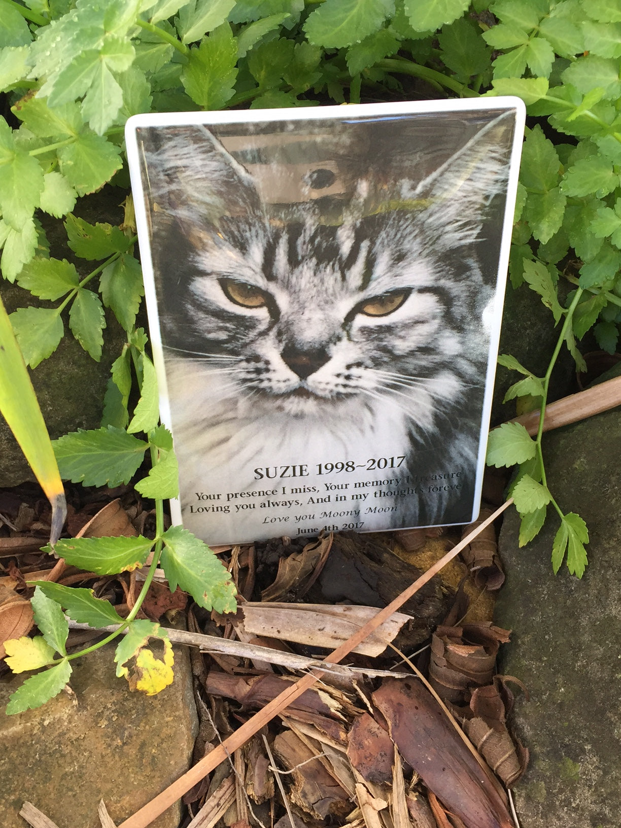 Photo Ceramic Plaques – Keeping Memories Alive