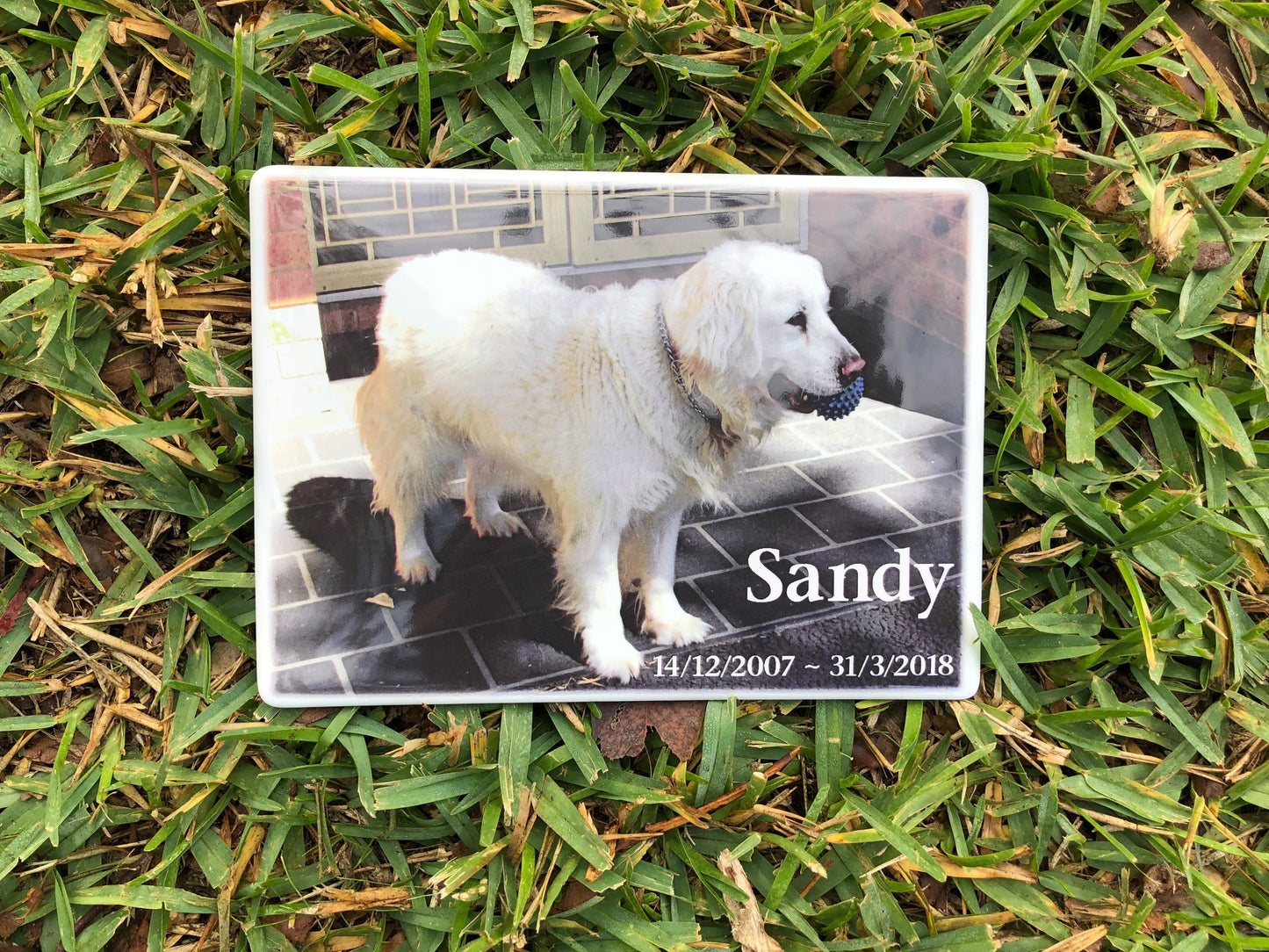 Photo Ceramic Plaques – Keeping Memories Alive