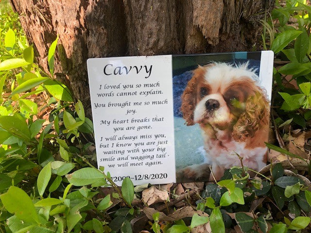 Photo Ceramic Plaques – Keeping Memories Alive