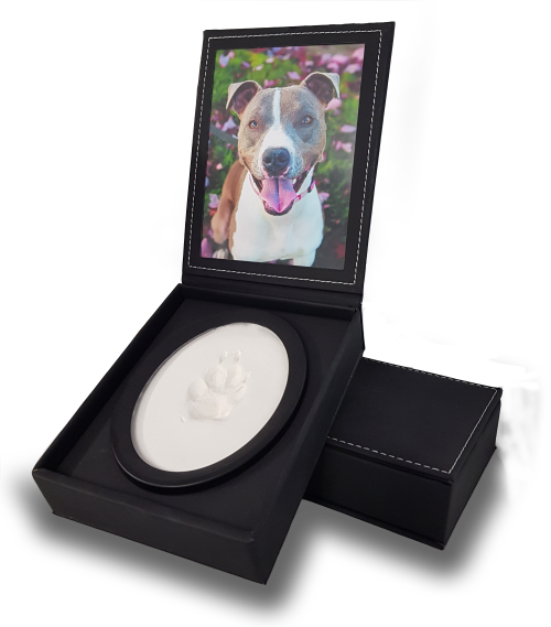 A display case with a photo of a dog and a paw print impression in clay