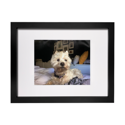 Lasting Impression Pet Memorial Frame - Multi