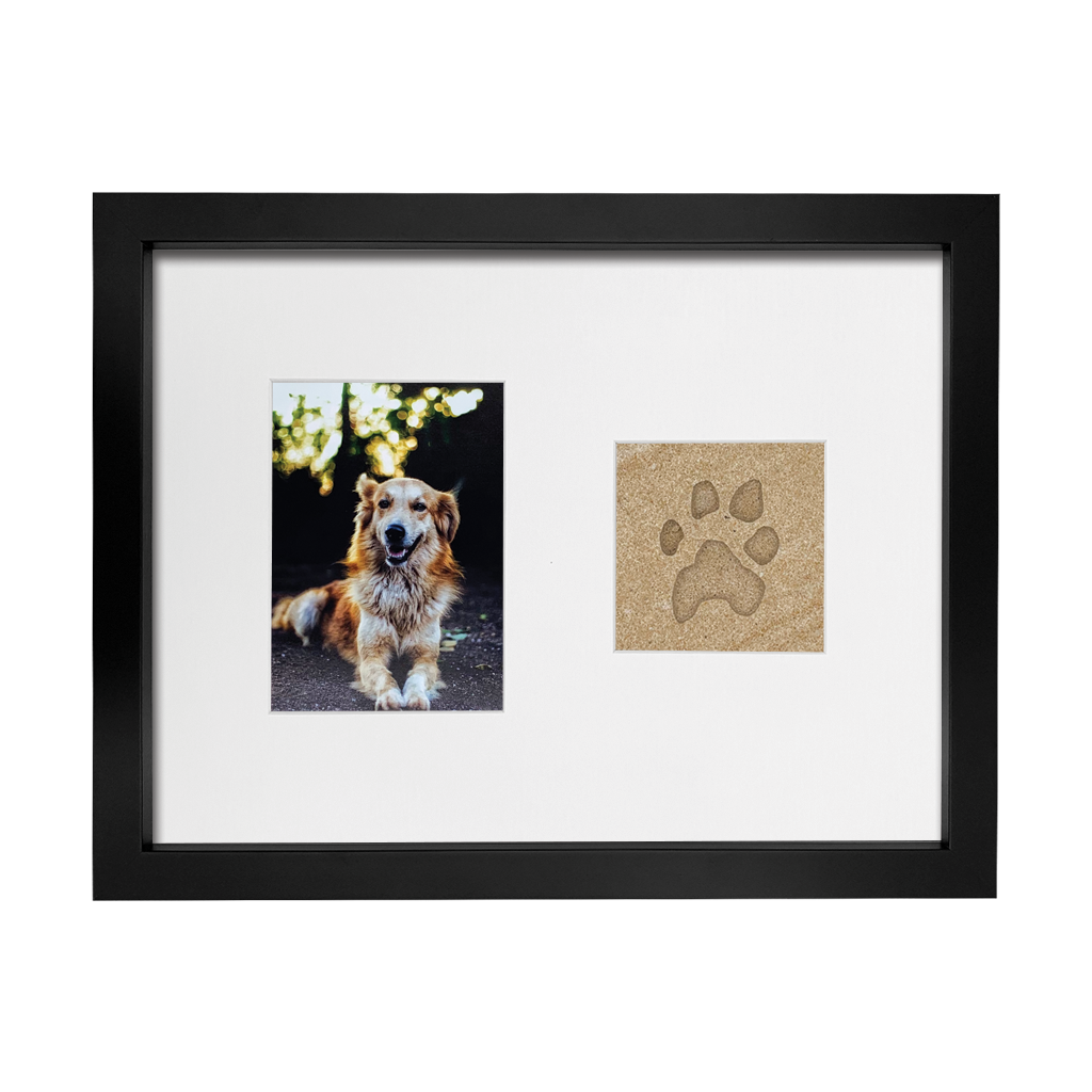 Lasting Impression Frame - Forever Paw Print in Stone with Urn