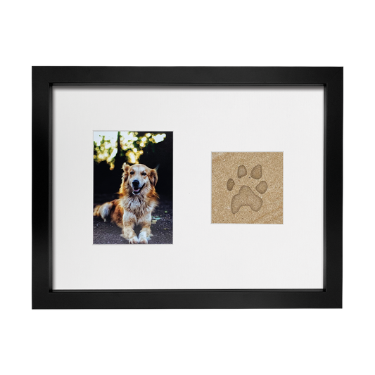 Lasting Impression Frame - Forever Paw Print in Stone with Urn