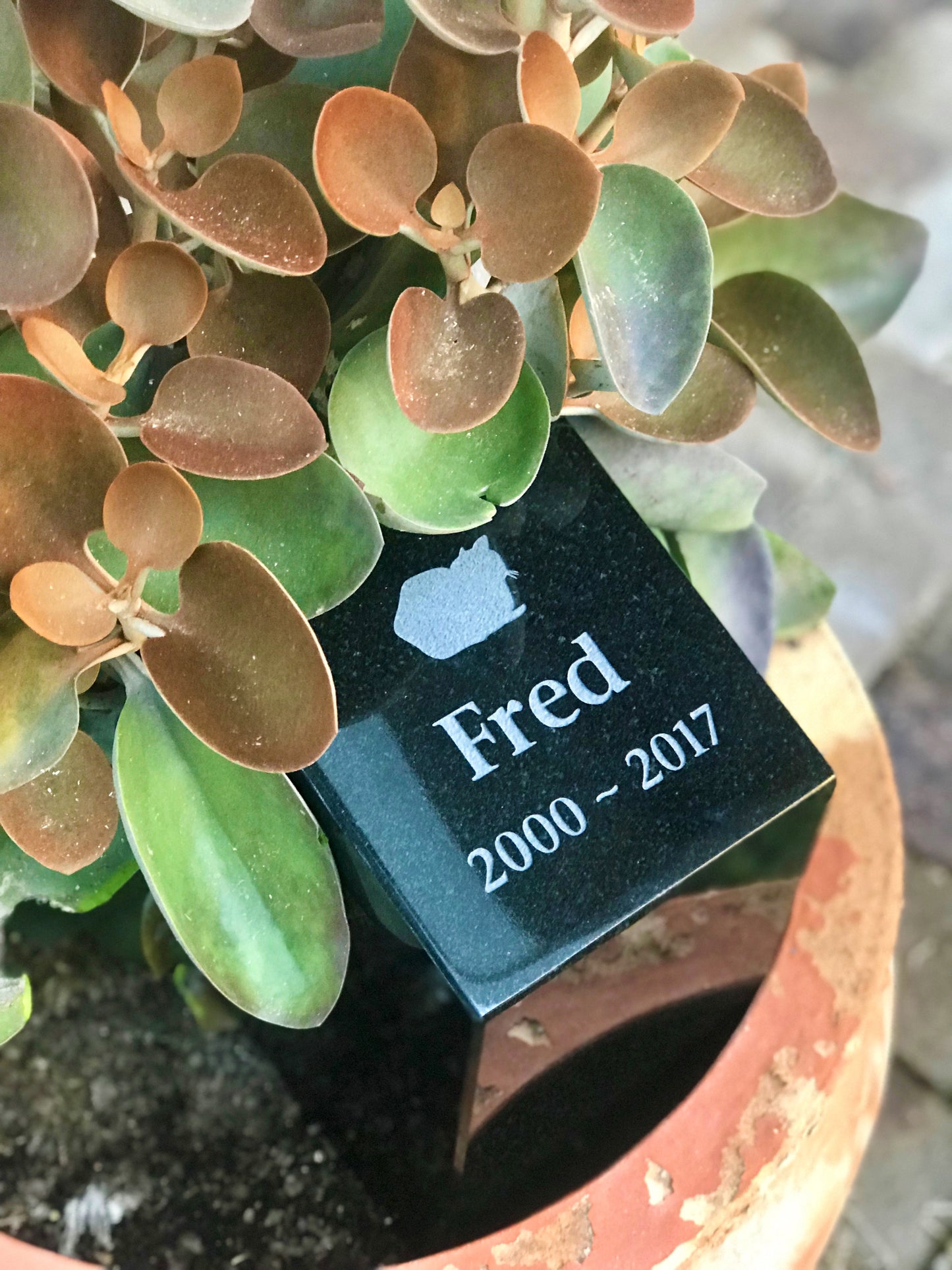 Personalised Garden Memorial Pet Urn