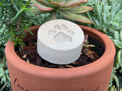 Personalised Paw Prints In Stone