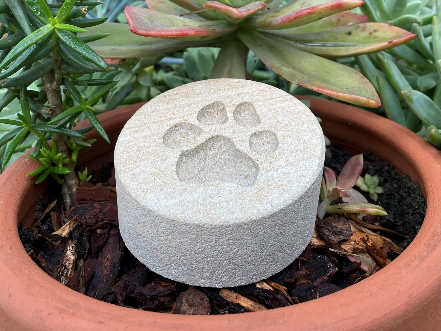 Personalised Paw Prints In Stone