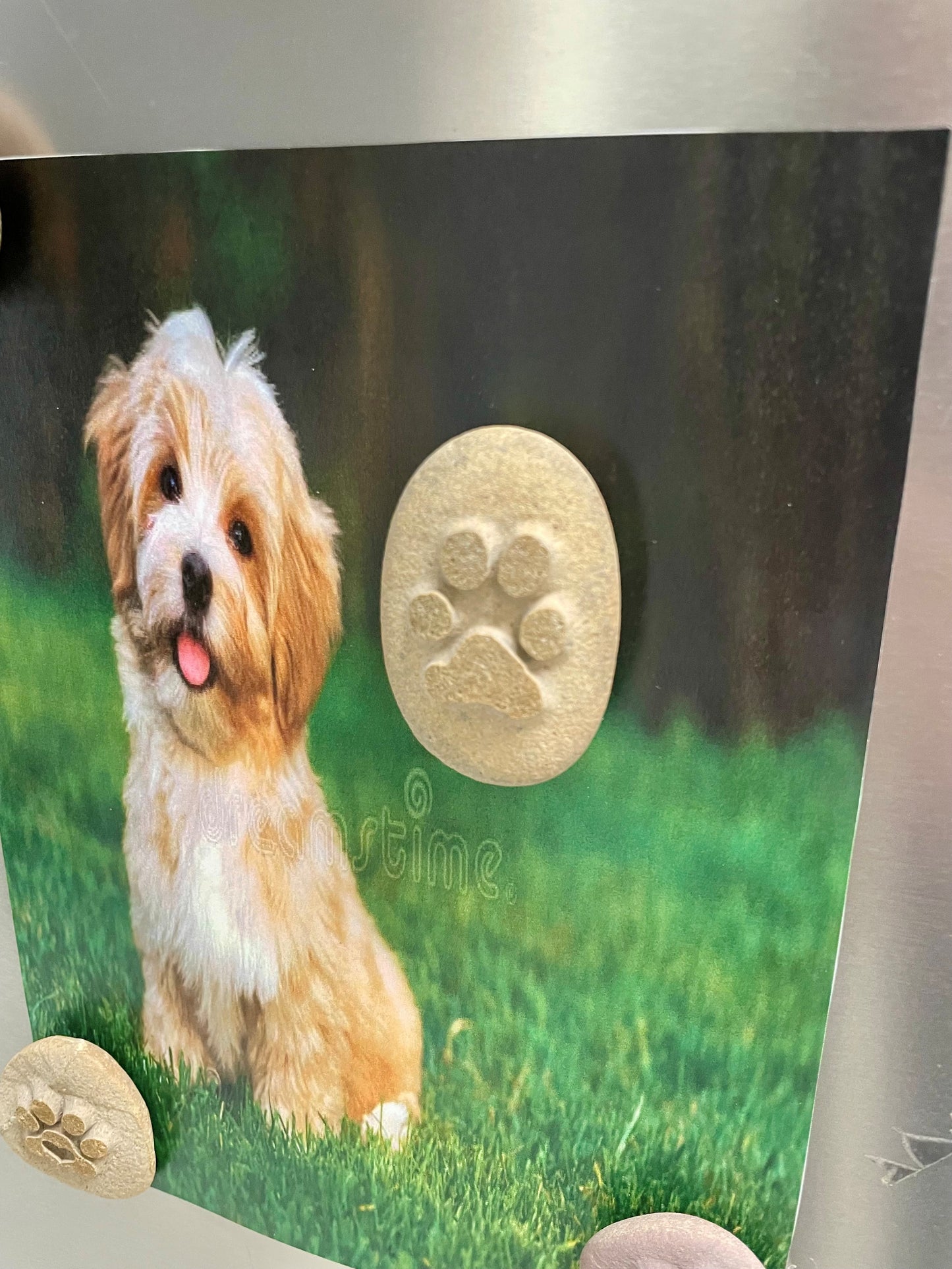 Personalised Paw Prints In Stone
