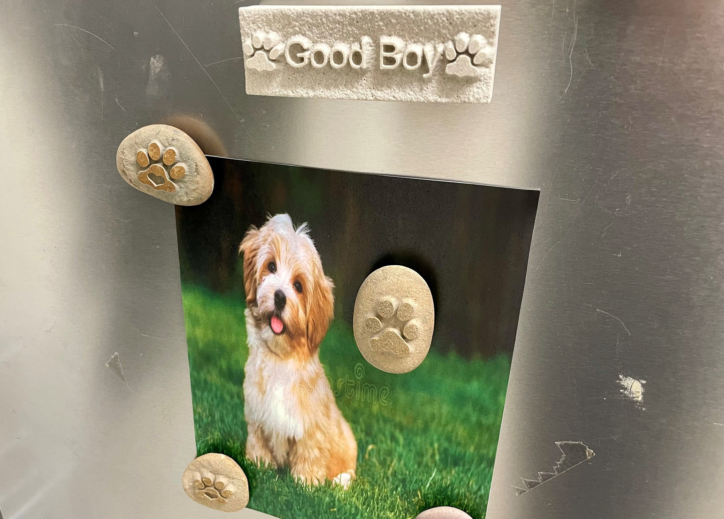 Personalised Paw Prints In Stone