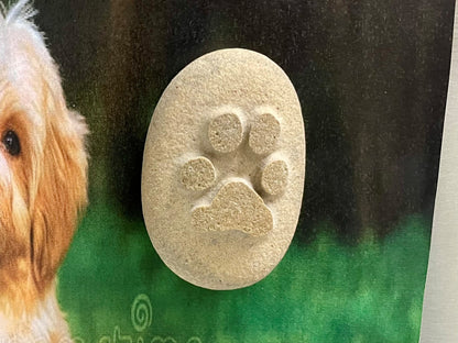 Personalised Paw Prints In Stone