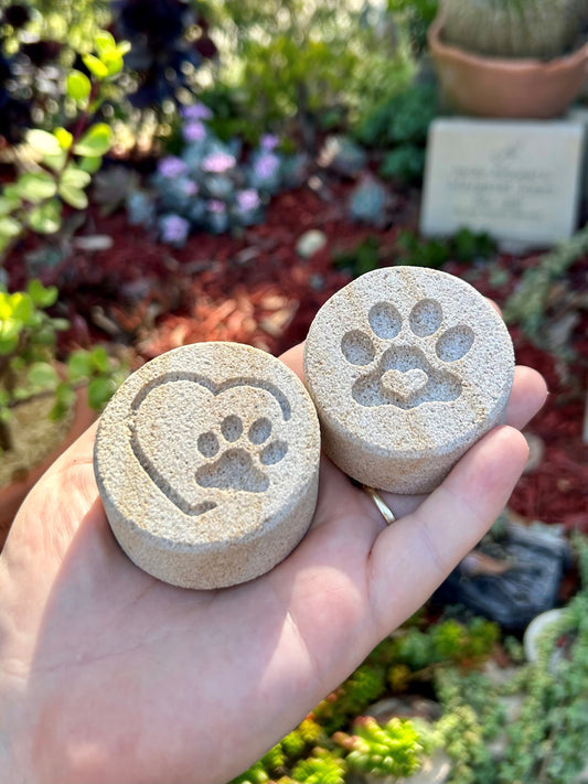 Pet Sandstone Mini Keepsake