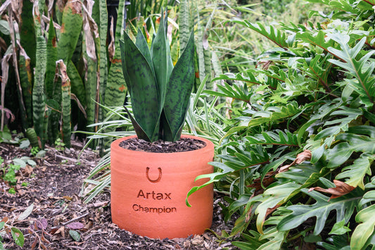 Plant Pot Living Memorial - Round