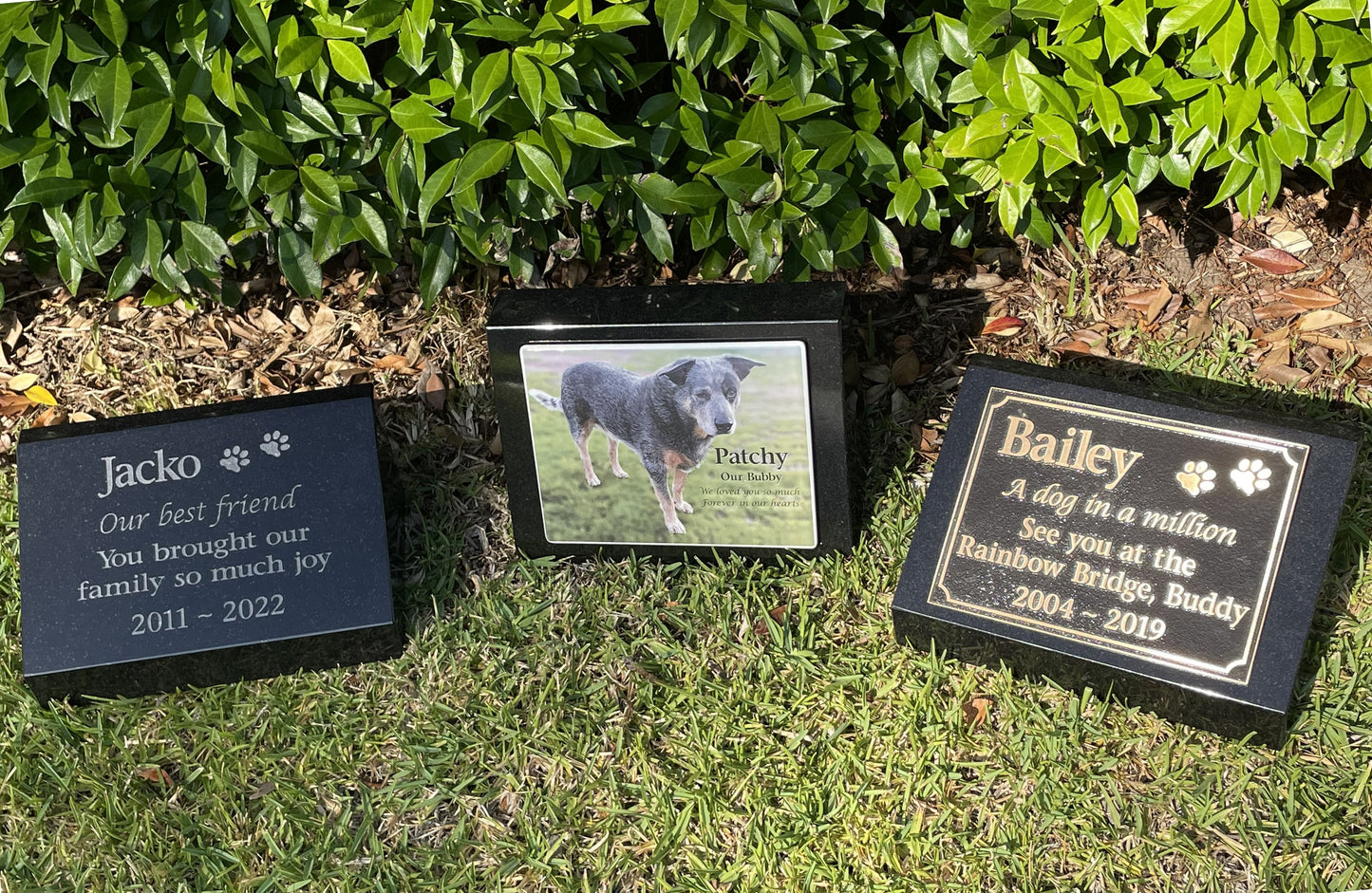 Granite Pet Headstone with Bronze Plaque