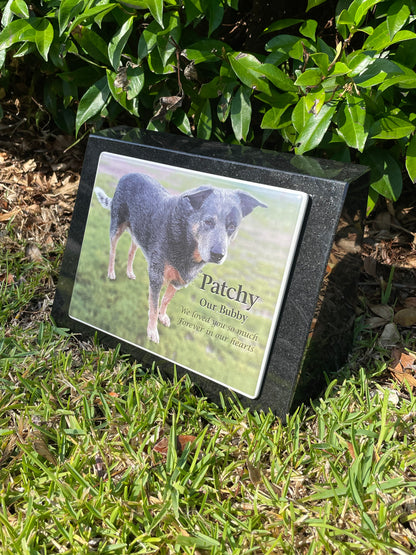 Granite Pet Headstone with Bronze Plaque