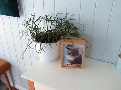 Bamboo 3 x Photo Box and Urn