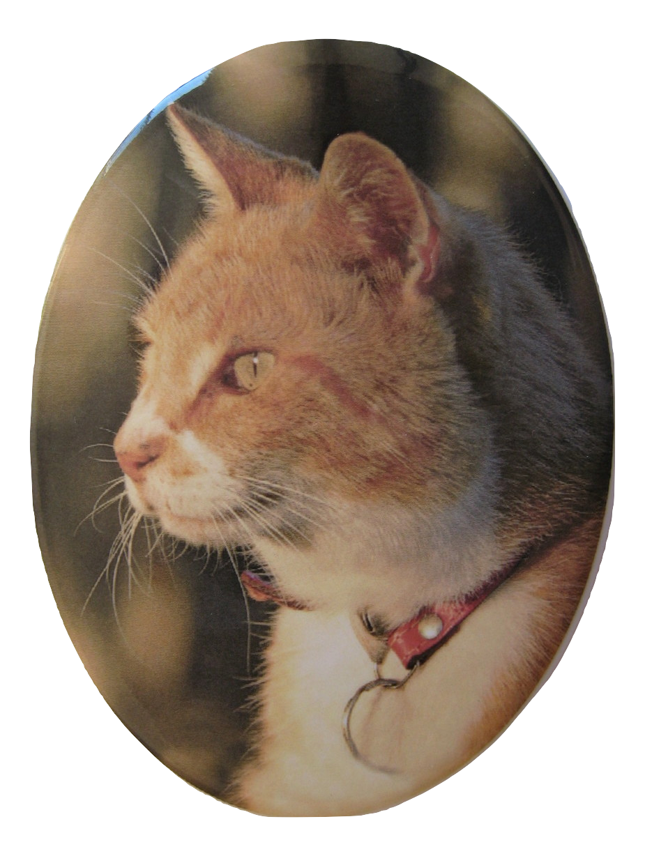 Photo Ceramic Plaque - Oval