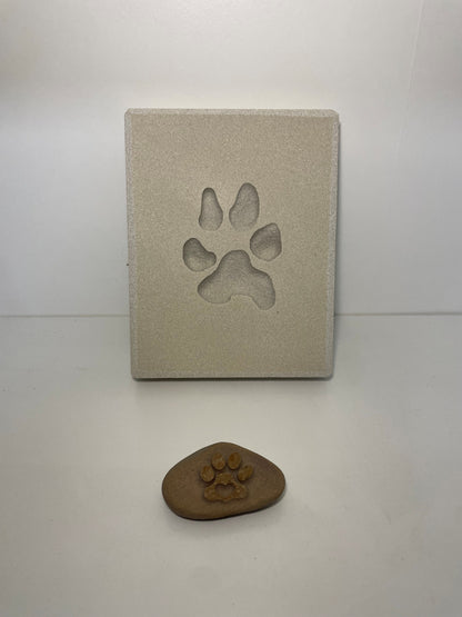 Personalised Paw Prints In Stone