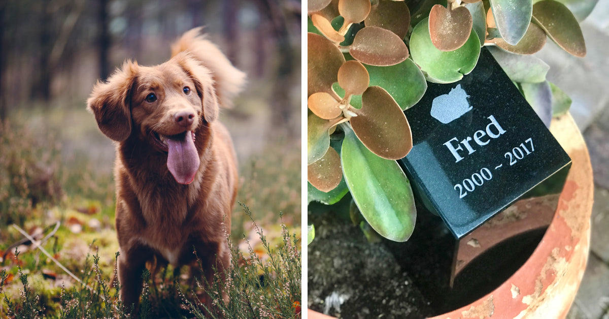 Personalised Garden Memorial Pet Urn