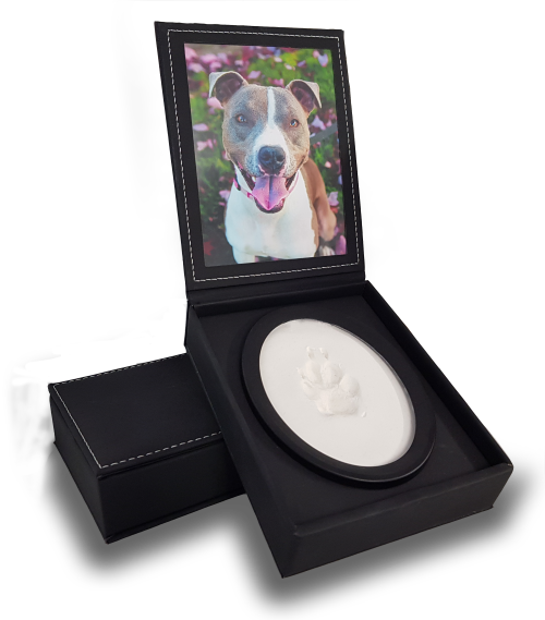 A display case with a photo of a dog and a paw print impression in clay
